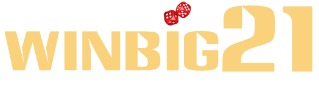 Winbig21 Casino